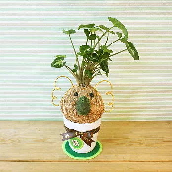 [迎光]幸福苔球-派翠克(合果芋)