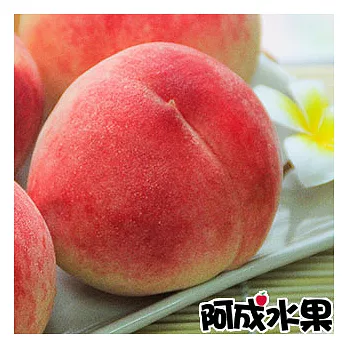 【阿成水果】日本空運和歌山水蜜桃（8粒/約2.5kg/件）