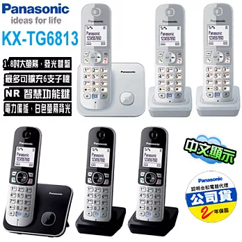 Panasonic國際牌 DECT數位無線電話(KX-TG6813)銀色＊送裸裝拭鏡布銀色