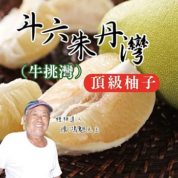 預購《斗六朱丹灣》50老欉頂級柚子(約12-14顆/10斤/箱)