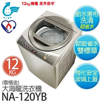 Panasonic 國際牌 NA-120YB-N 12公斤大海龍洗衣機 *香檳金【台灣製】