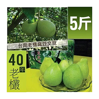 【優鮮配】超推!《珍品園》麻豆40年老欉文旦5台斤(每顆約10兩重)