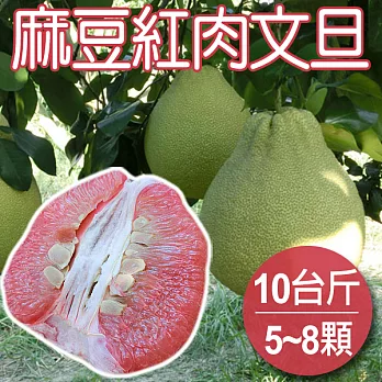 預購【農夫家】麻豆紅肉文旦(柚子)，果肉香甜/多汁飽水，10台斤