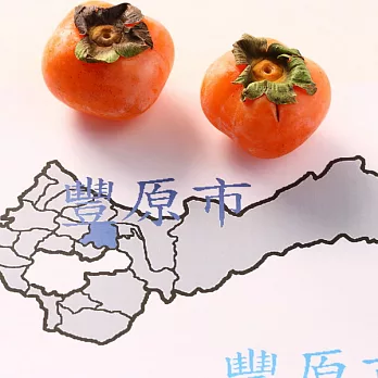 《阿洲水果》《豐原》紅柿(5斤)