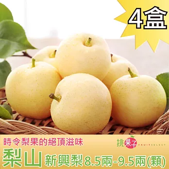 挑果子] 梨山新世紀梨小禮盒(6粒裝)(4盒)(含運)