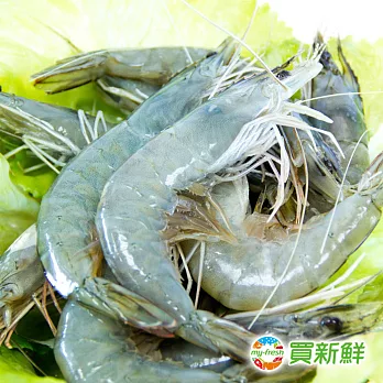 【買新鮮】生凍頂級藍鑽蝦2包組(250g±10%包)★免運