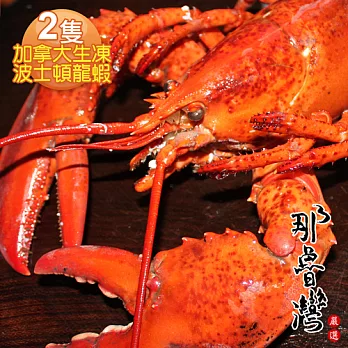 【幸福小胖】加拿大生凍波士頓龍蝦2隻(500g/隻)