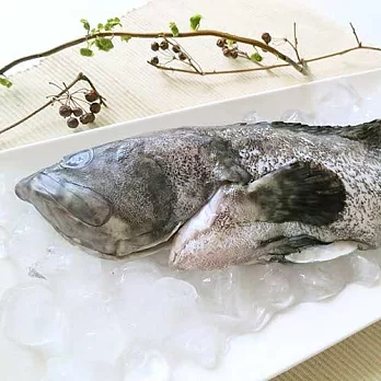 【鱻活一號】龍虎石斑全魚＊2(900-1000g/尾)