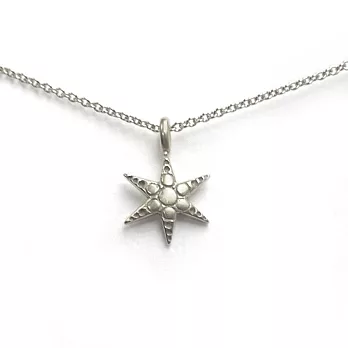 Dogeared 許願星 wishing star 心想事成 銀項鍊 附原廠盒