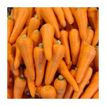 Opoca產地蔬果 豐原產紅蘿蔔 5斤紅蘿蔔 5斤