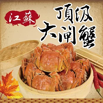 預購《江蘇》頂級大閘蟹10隻(4.6~5.2兩/隻)