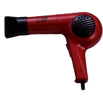 【東龍】 美髮吹風機TL-850