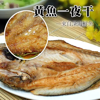 【優鮮配】黃魚一夜干(240g±10%/尾)