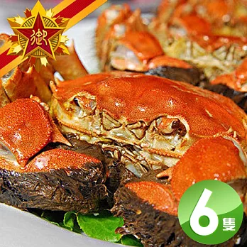 【五星御廚 蟹之家】6兩以上蟹霸王大閘蟹組 (6隻)-台灣