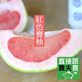 直接跟農夫買- 柚中秘寶。有機轉型期紅柚（6公斤）