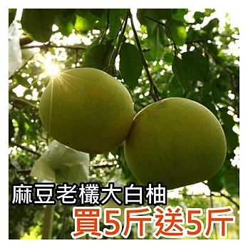 超值買一送一↘金牌麻豆老欉大白柚禮盒5台斤送5台斤(含運)