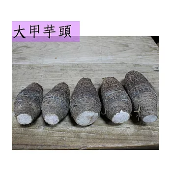 ★新鮮採收★台中大甲【無毒芋頭】10斤