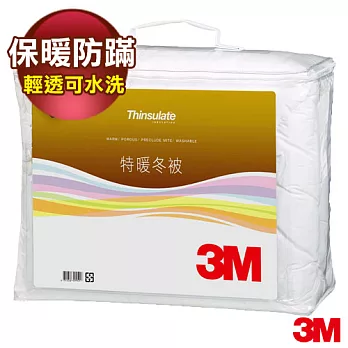 3M Thinsulate輕透可水洗特暖厚冬被 (Z500標準雙人6x7)