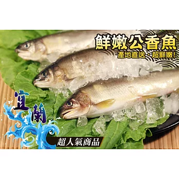 宜蘭特選公香魚一盒 (8-10尾/1kg)