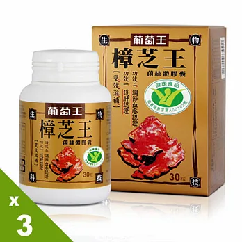 【葡萄王】健字號樟芝王 護肝有保證 3盒 (30粒/盒)