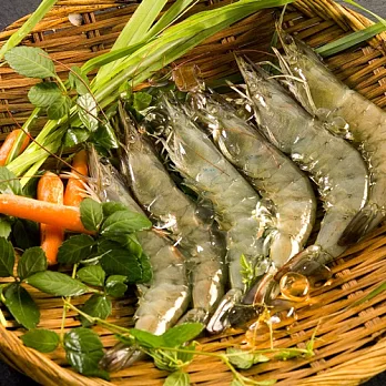 《台江漁人港》草本白蝦-XL(半斤/包)