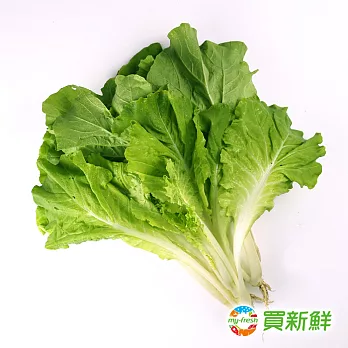 【愛新鮮】小白菜250g/包