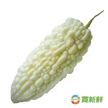 【愛新鮮】白苦瓜500g/顆