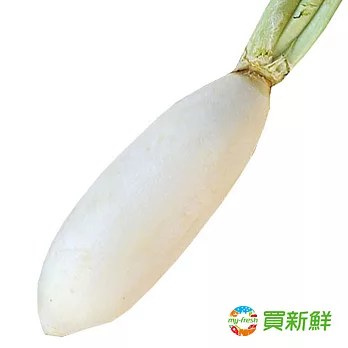 【愛新鮮】白蘿蔔600g/條