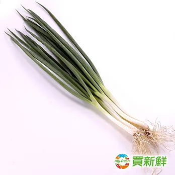 【愛新鮮】宜蘭蔥300g/包