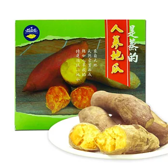 瓜瓜園 是蒸的-人蔘地瓜×2盒(600g/盒)