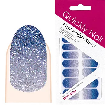 【Quickly Nail】美甲指甲貼 Q-060