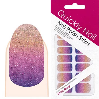 【Quickly Nail】美甲指甲貼 Q-061