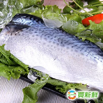 【買新鮮】省產鯖魚一夜干(130g/片)