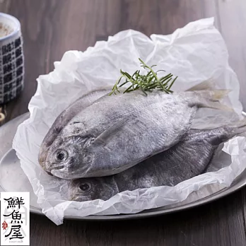 【鮮魚屋】基隆崁仔頂本港肉魚*15條