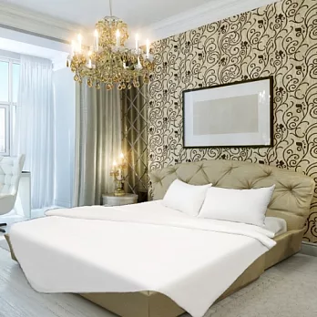 【法式寢飾花季】典雅風情-緹花純長絲手工蠶絲被(單人5*7尺/4台斤)