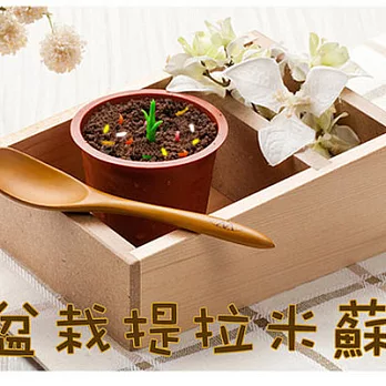 [新橋蛋糕]盆栽提拉米蘇蛋糕 (6入1盒)(2盒)(含運)