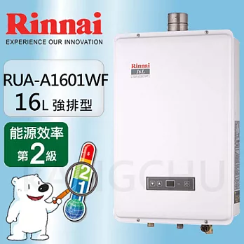 林內16L數位恆溫強制排氣熱水器RUA-A1601WF天然瓦斯