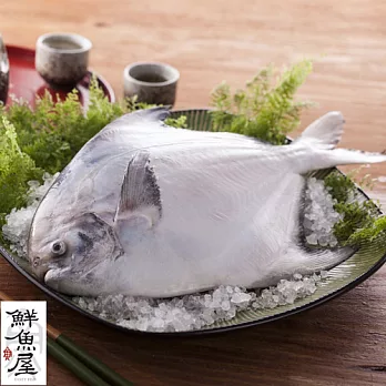 【鮮魚屋】年節必漲頂級野生白鯧魚450gx2條