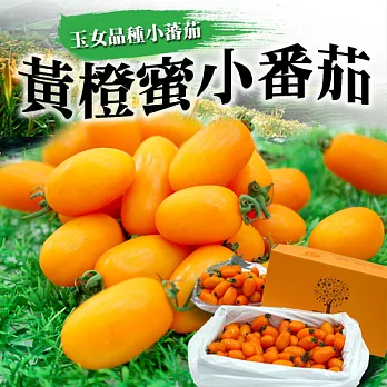 【果漾FruitYoung】台灣美濃特產-橙蜜香甜心小番茄(3斤/盒)x2