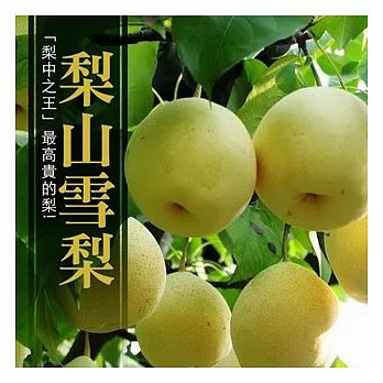 【果漾FruitYoung】└梨中之王┘頂級梨山雪梨8顆裝(8/約4.5KG)