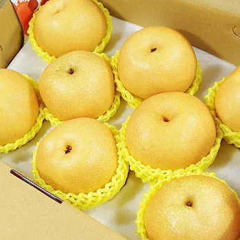 【鮮果日誌】梨之王者梨山雪梨(8大顆禮盒)