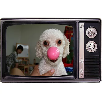 《KIKKERLAND》TV 偽電視4x6相框(黑)