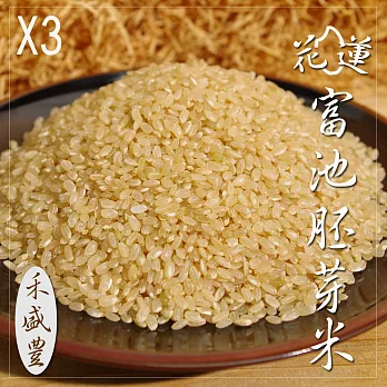 禾盛豐 富池胚芽米 3包組 (3kg/包)組