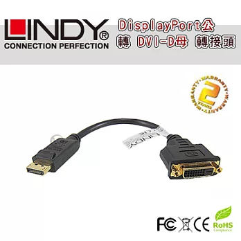 LINDY 林帝 DisplayPort公 轉 DVI-D母 轉換器 (41004)