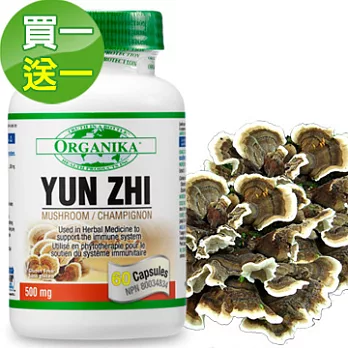 【Organika優格康】雲芝500mg(60顆) 2瓶組