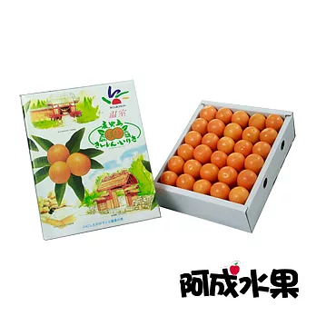 【阿成水果】日本空運鹿兒島金桔禮盒 (60粒/1.2kg/盒)