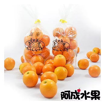 日本空運鹿兒島金桔 3袋 (300g/袋)