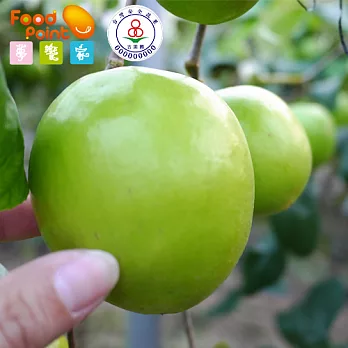 【夢饗家】楠西阿桐叔★金大利3A級蜜棗★吉園圃果園直送-5斤箱*1箱 - 4兩以上/粒(±10%)