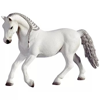 Schleich 史萊奇動物模型-利皮札馬