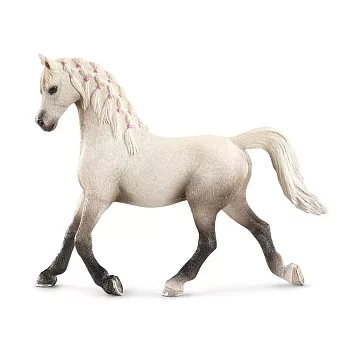 Schleich 史萊奇動物模型-Arabian馬